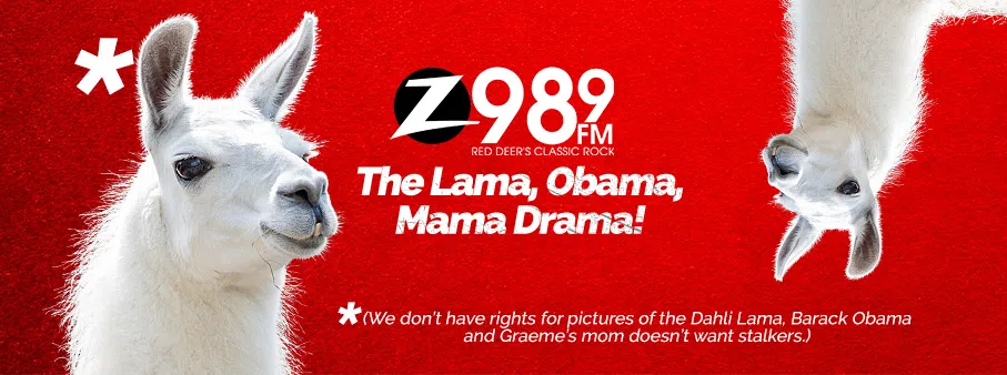 The Lama, Obama, Mama Drama