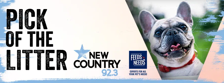 Feature: https://www.newcountry923.com/pick-of-the-litter/