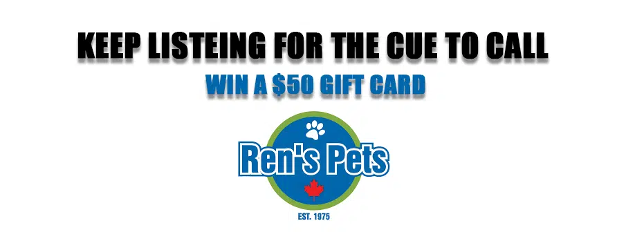 Ren’s Pets Contest