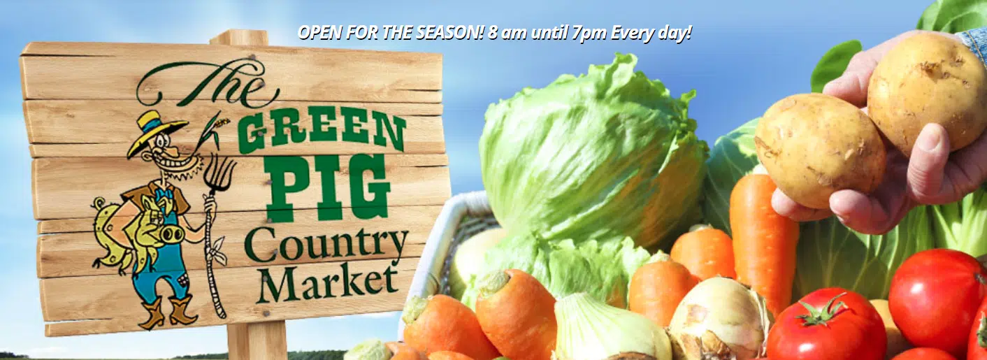 Green Pig Contest