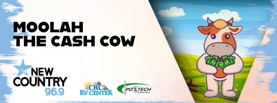 Moolah the Cash Cow