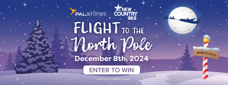 Flight to the North Pole