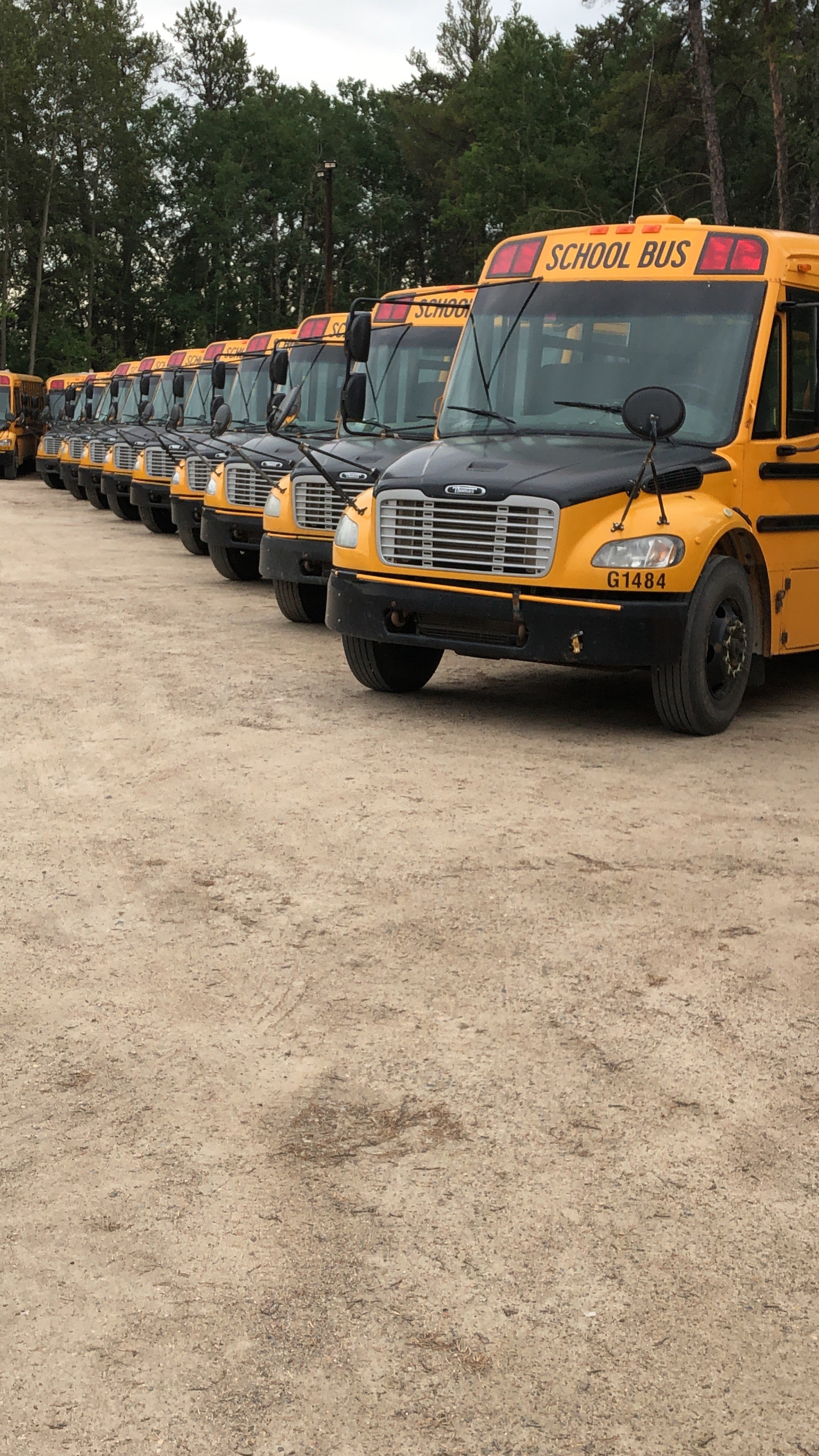 School Bus Driver with a S endorsement (School Bus Licence ) - Vimarsana News