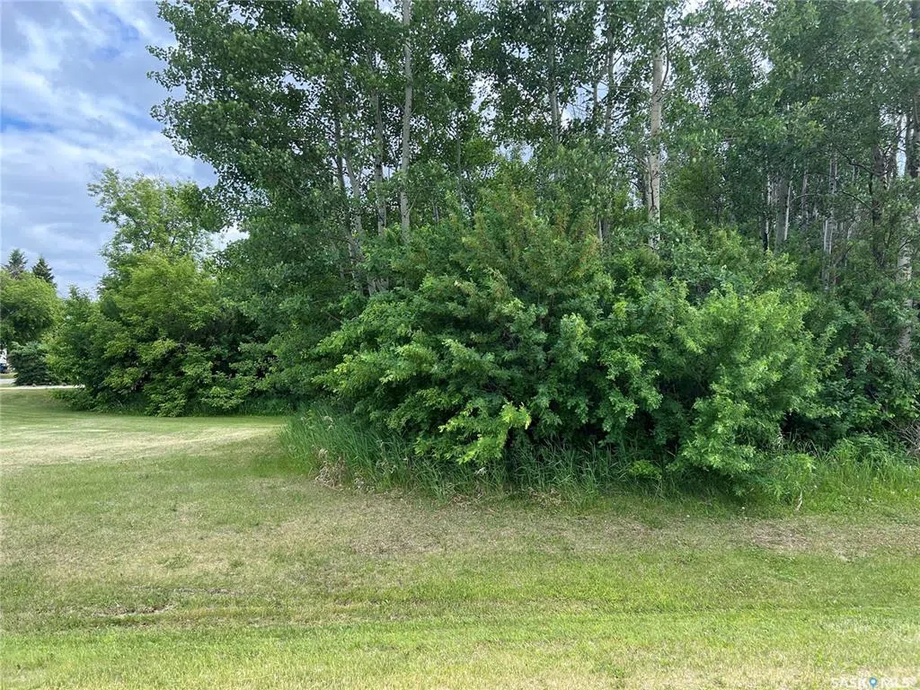 327 Windsor Ave Porcupine Plain lot | paNOW