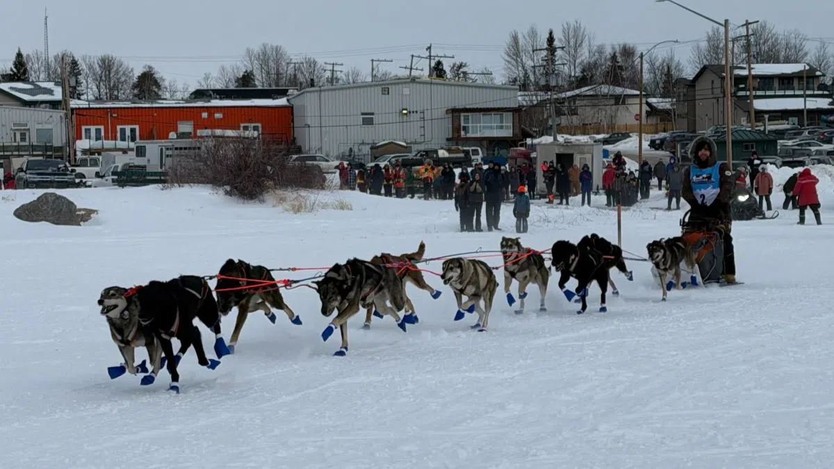 Canadian Challenge 10-dog race underway
