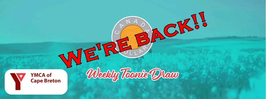 Y Toonie Draw