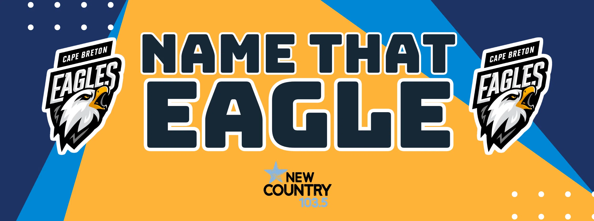 Feature: https://newcountry1035.ca/name-that-eagle-with-don-sharpe/