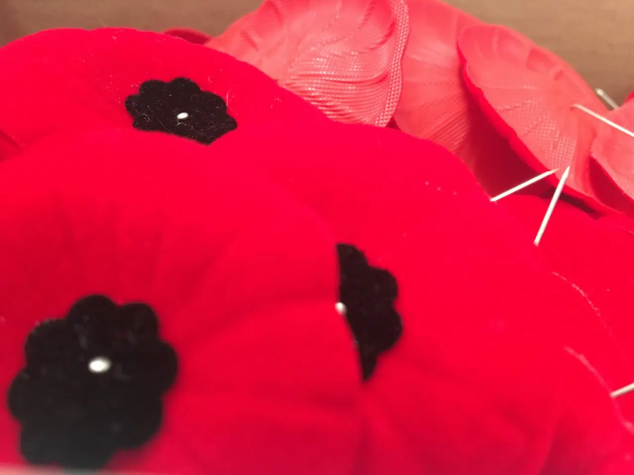 Remembrance Day in Belleville