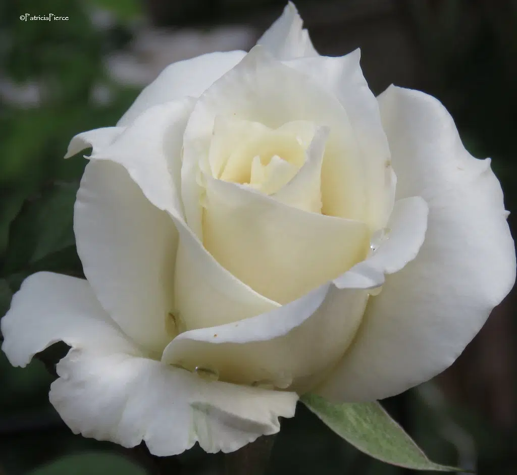 Local farmer Clifford Foster has passed away