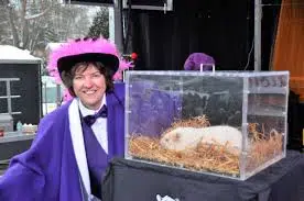 Wiarton Willie goes virtual Tomorrow