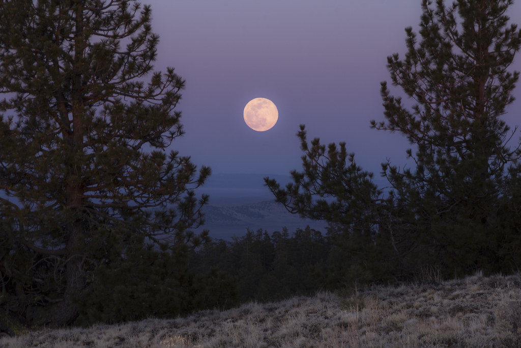 Super pink moon coming this month