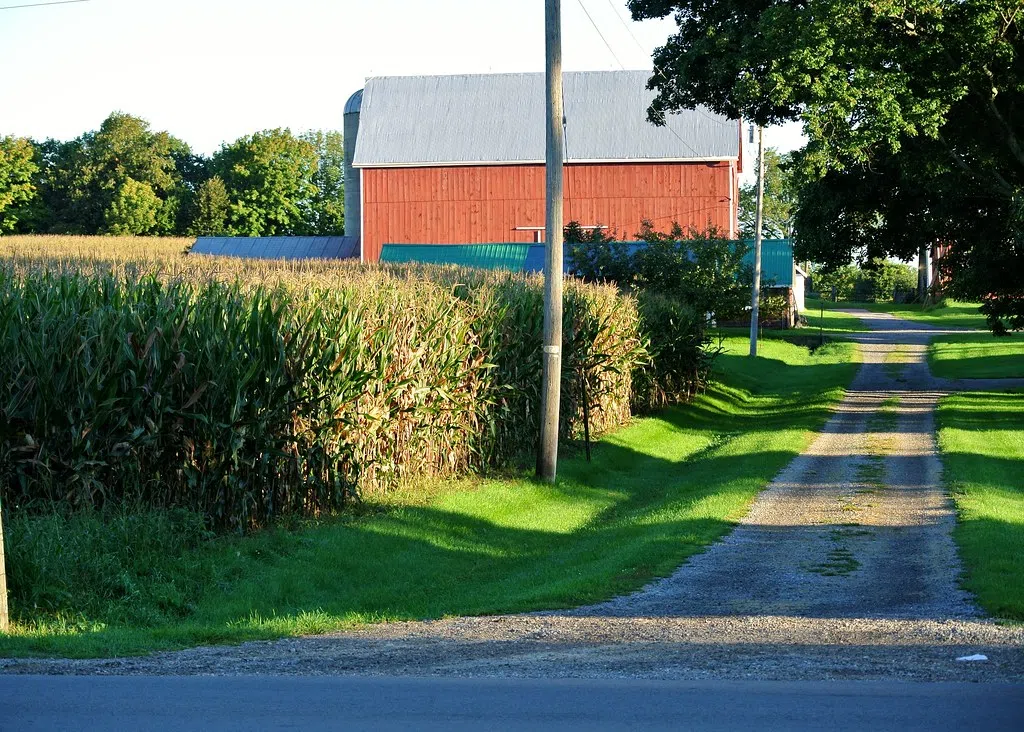 Maximum Music Morning Interview - IncrEdible Edible Festival