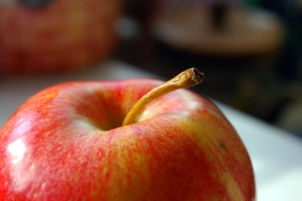 Brighton cancels fall Applefest event for the second year in a row