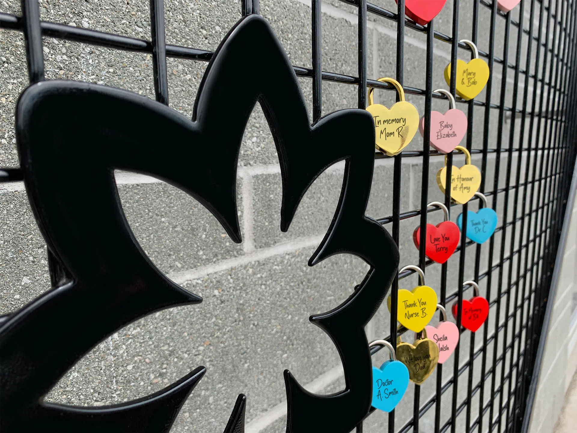 Belleville General Hospital Foundation launches "Love Locks" installation