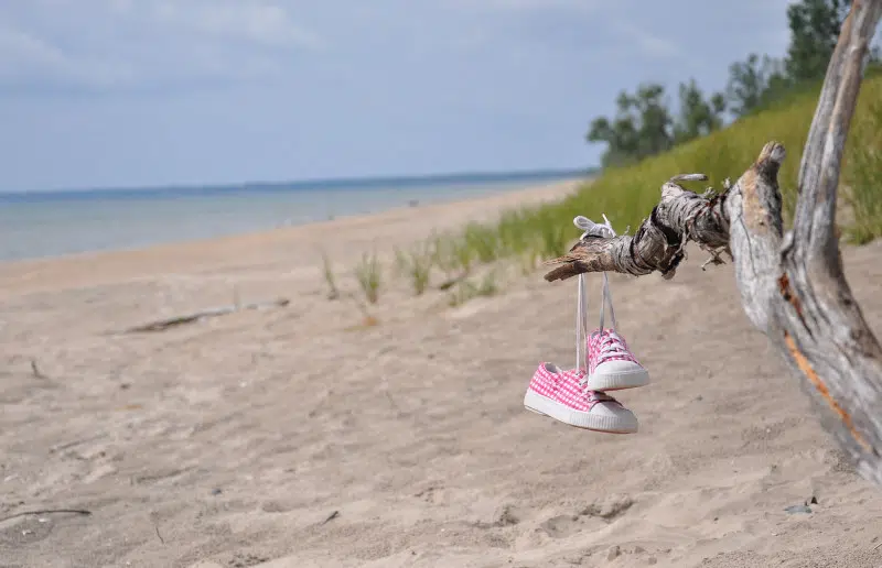 Ontario Parks announces details about parking permits at local provincial parks