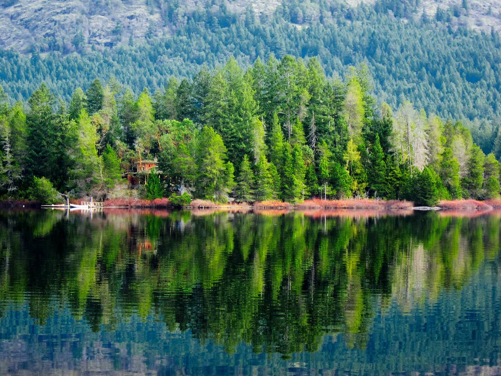 Earth Day events wrap up this weekend in Prince Edward County