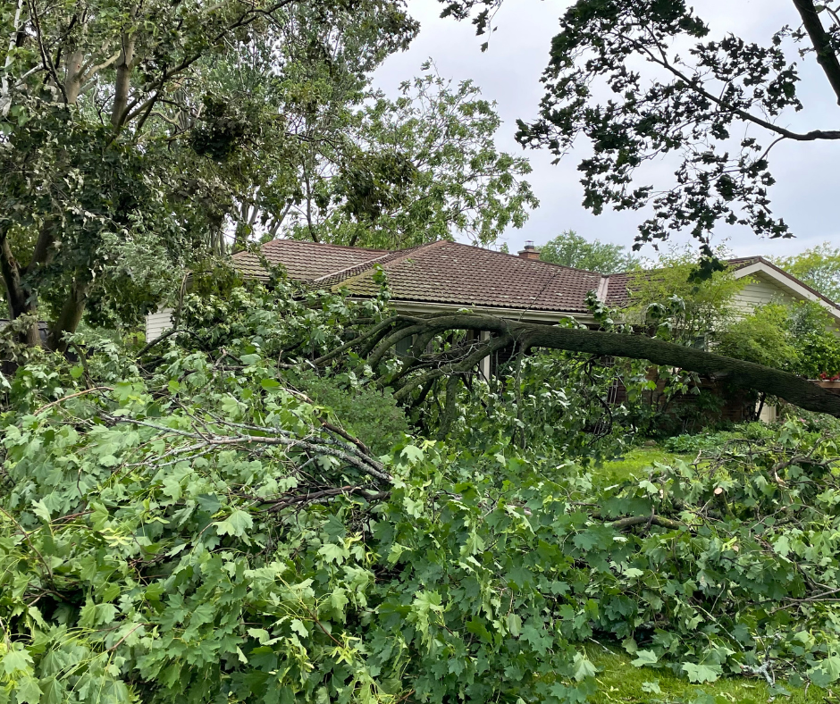 City of Belleville issues update about storm clean-up