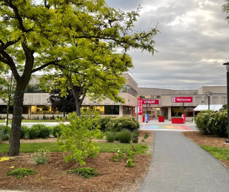 Loyalist College hosting in-person Convocation ceremonies for the first time since the start of the pandemic