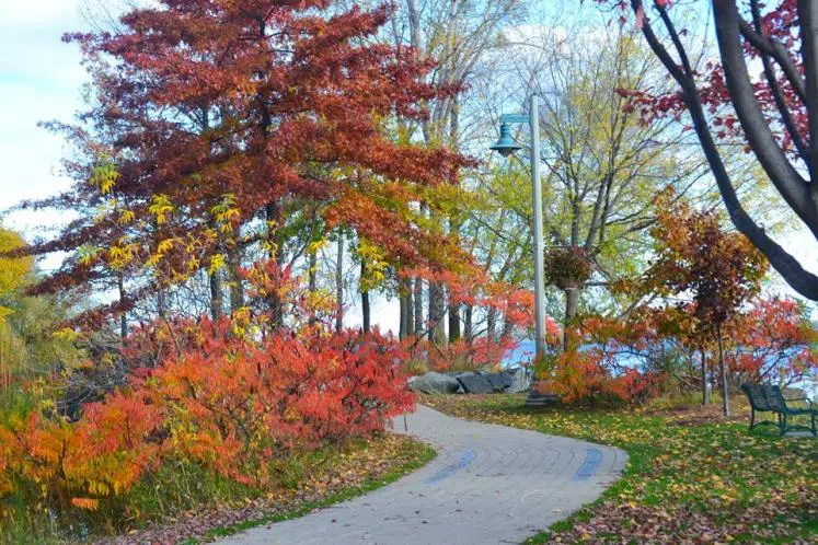 Fall Family Funfest is here for this weekend only!