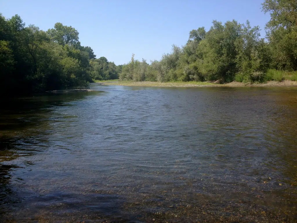 Flood warning issued for Moira River and Napanee River Watersheds