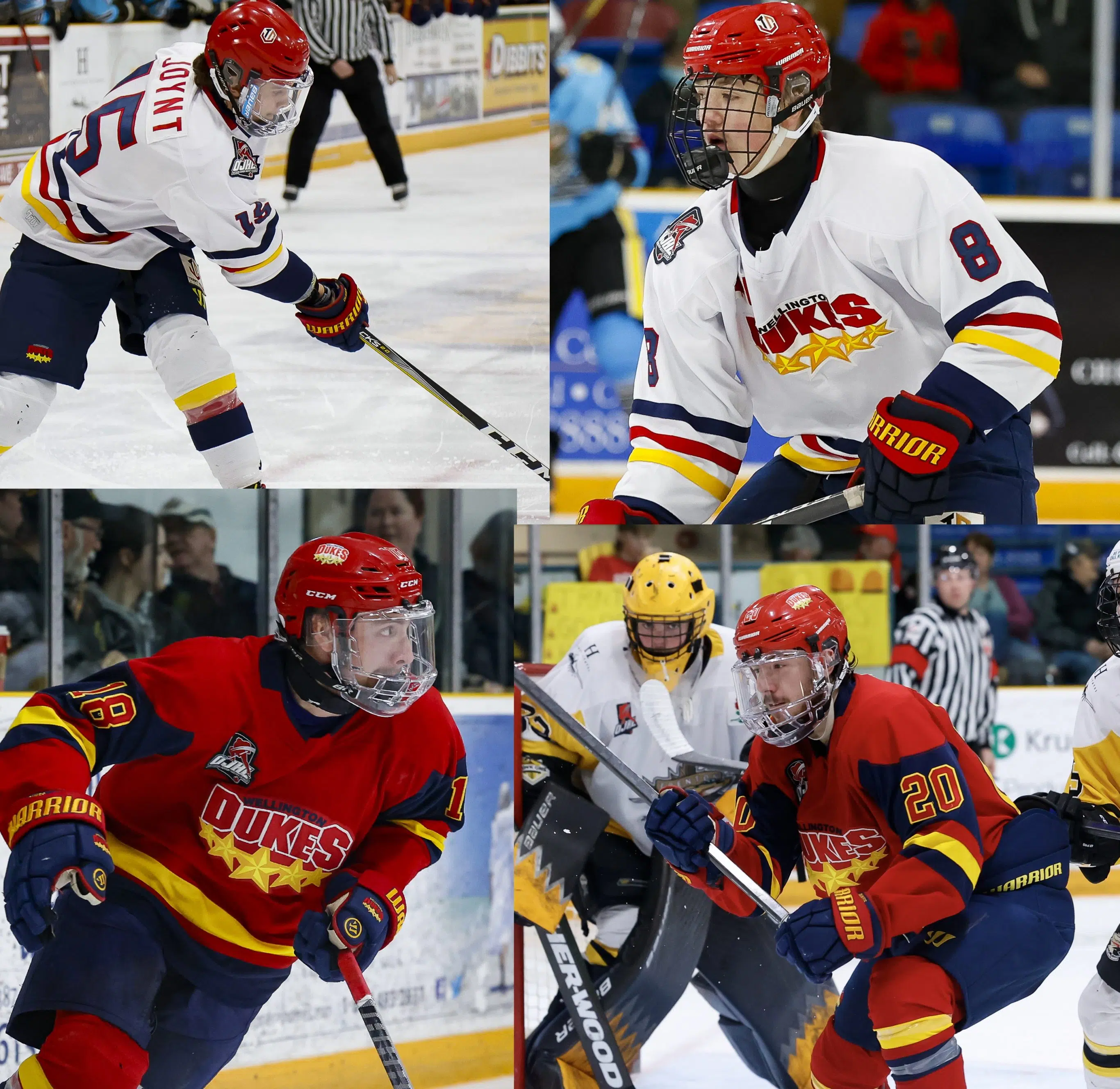 Six players involved in a trade between the Trenton Golden Hawks and Wellington Dukes