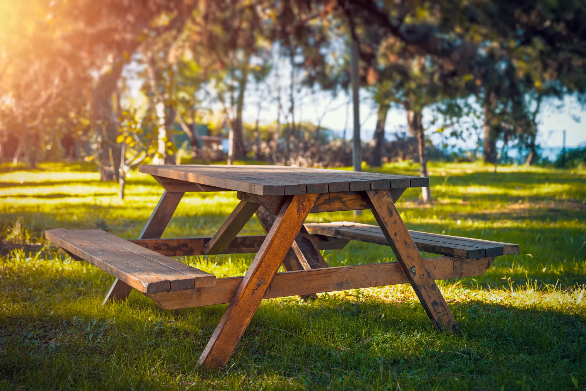 Meeting about improvements to Roblin Lake Park