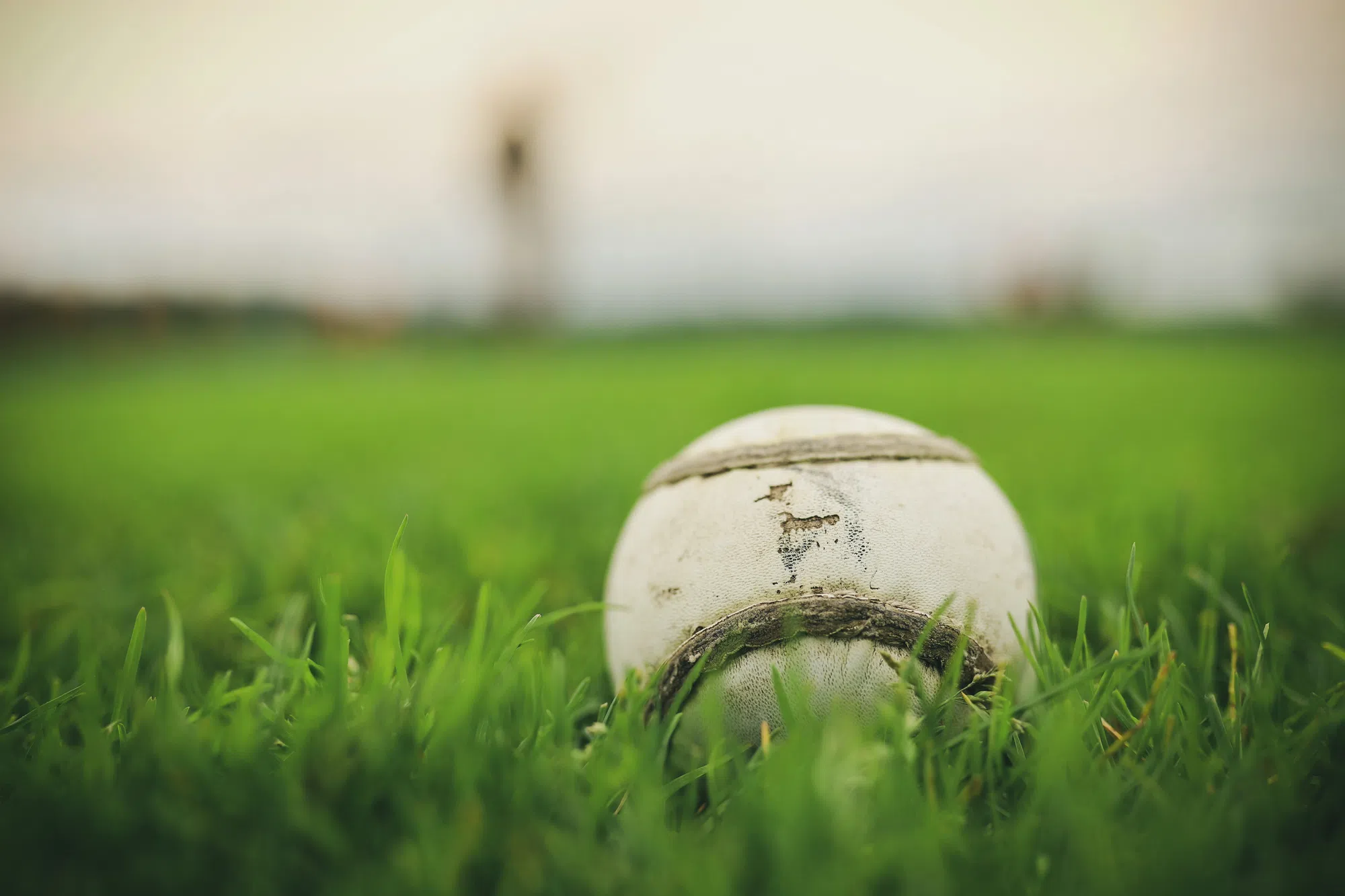 Under 17 Men's Canadian Fast Pitch Championship in Napanee