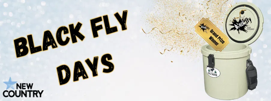 Black Fly Days