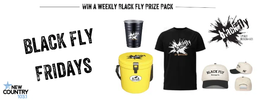 Black Fly Days