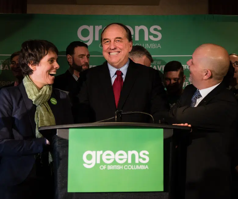 Green Party leader says speculation tax changes coming 