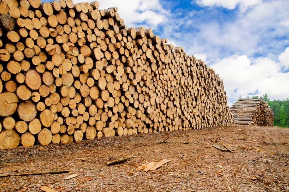 Good news and bad news on the lumber front 