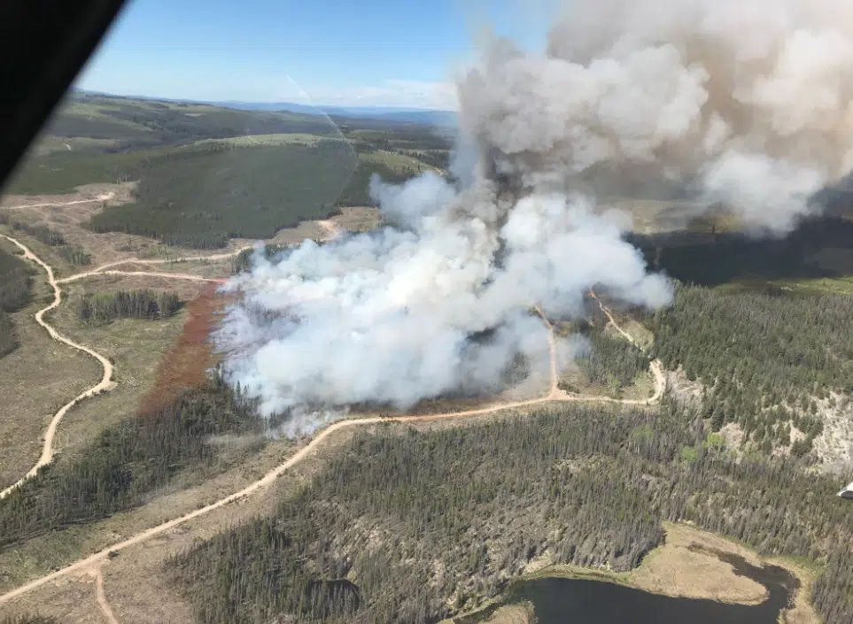 A new wildfire rears its head in the Kamloops Fire Centre 
