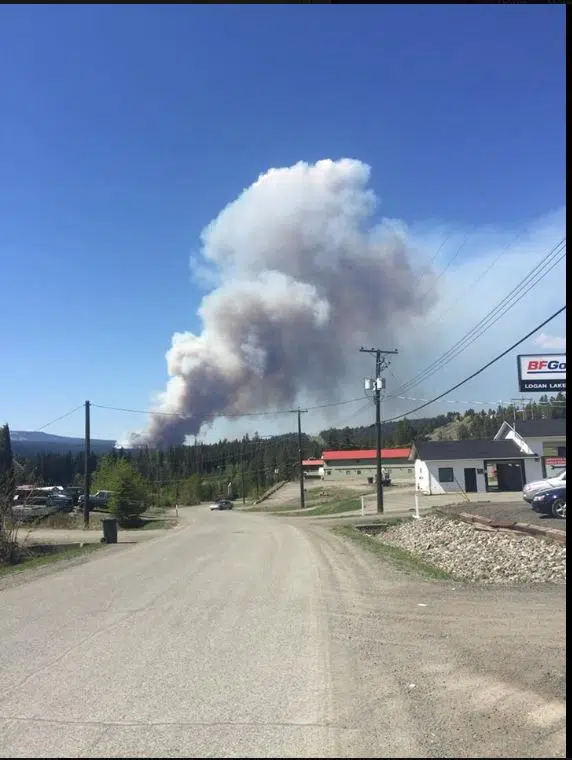B.C Wildfire Service attacking blaze in Logan Lake area