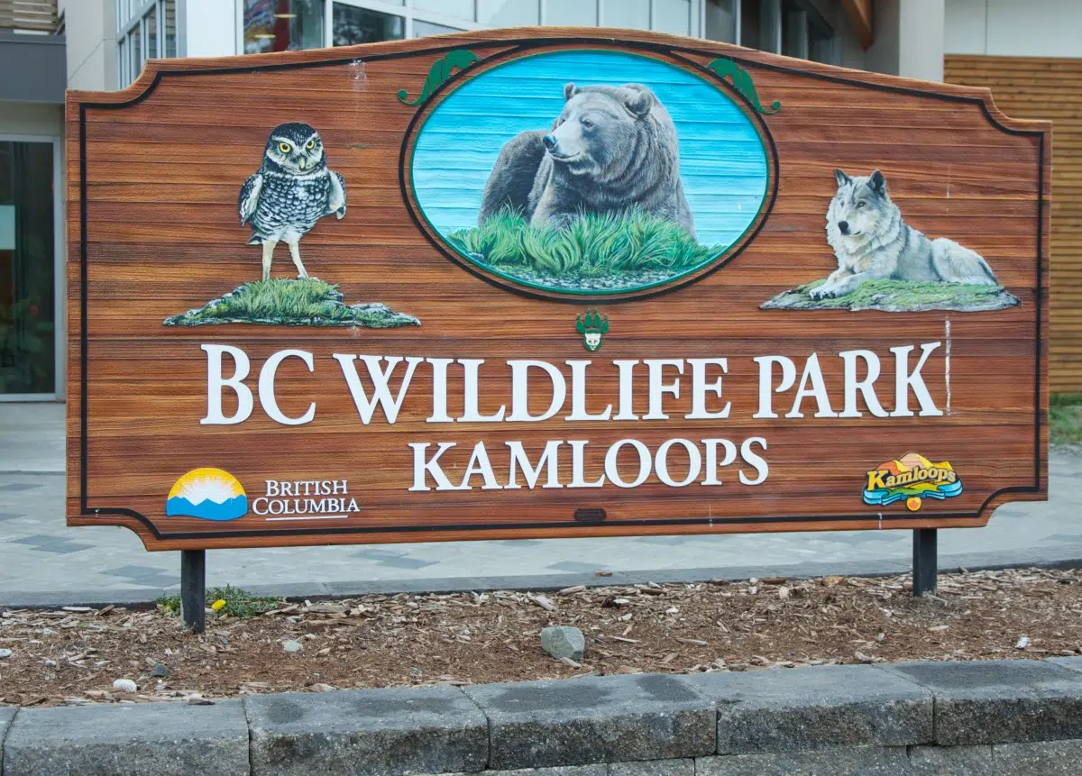 Tax relief is coming B.C. Wildlife Park told 