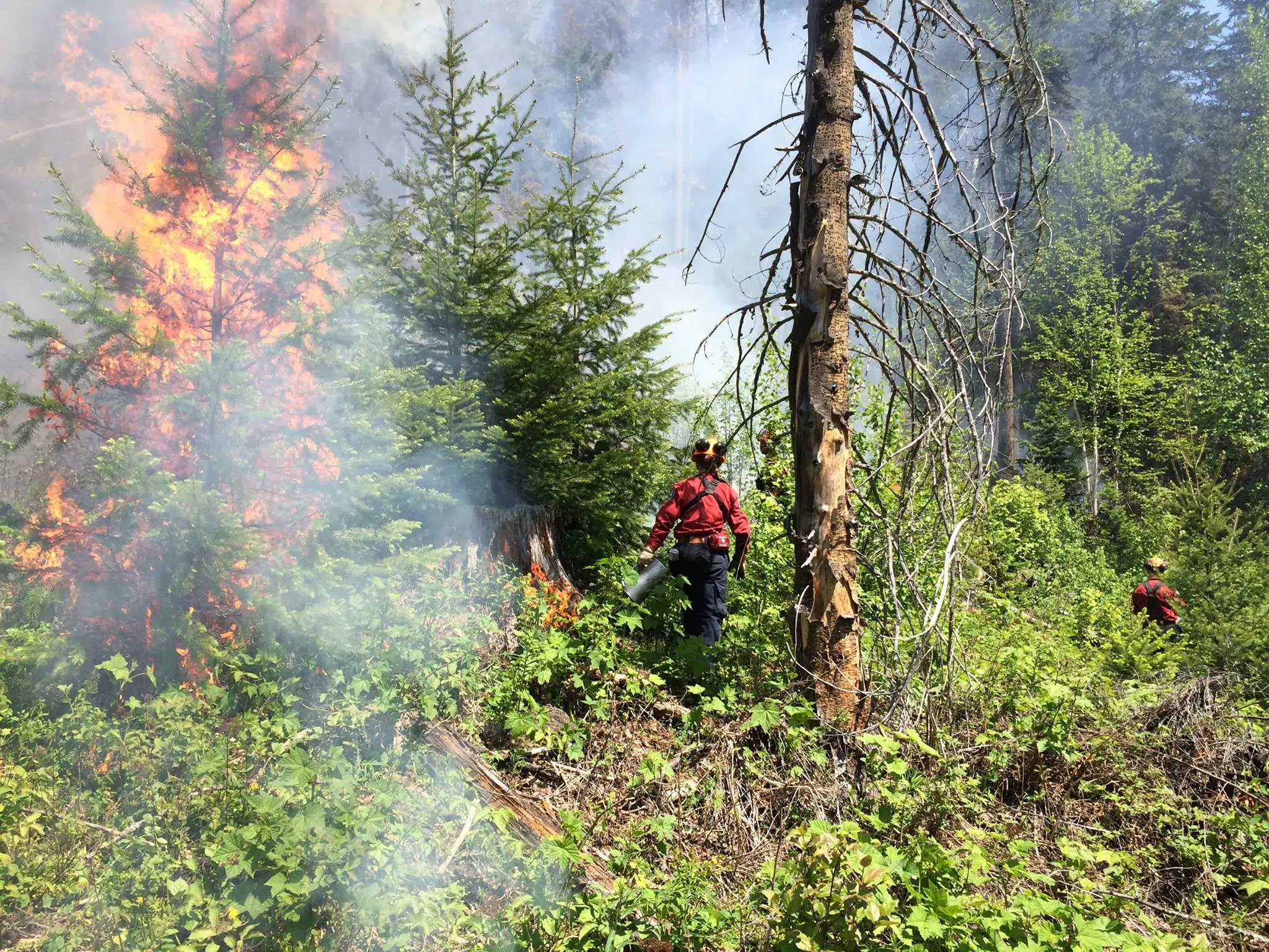 Wildfire crews optimistic as favourable weather conditions forecast for the weekend