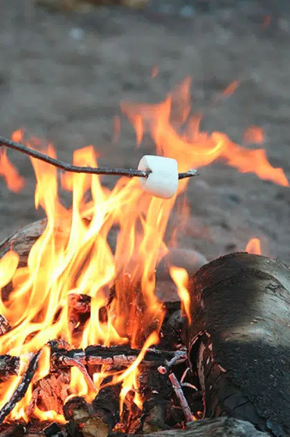 Effective at noon today, a campfire ban will be in place throughout the Kamloops Fire Centre