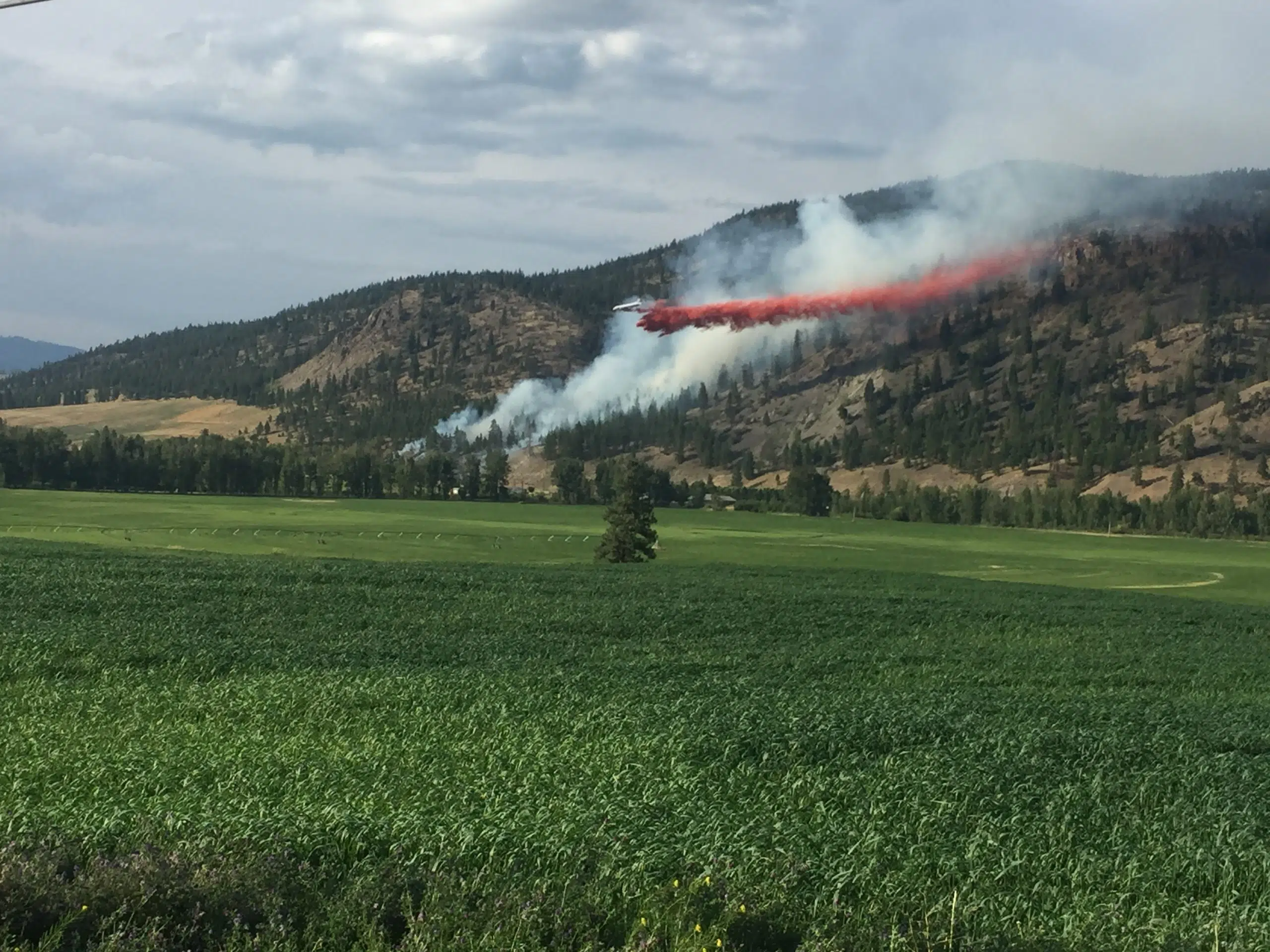 Wildfire burns close to Merritt