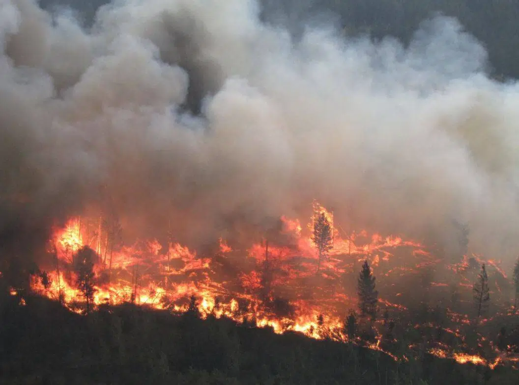 B.C now in the worst wildfire season ever in terms of hectares burned