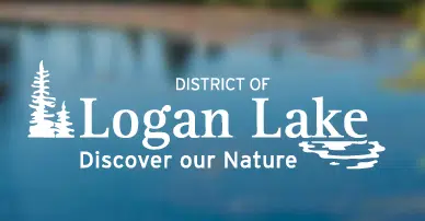 Logan Lake Election Results