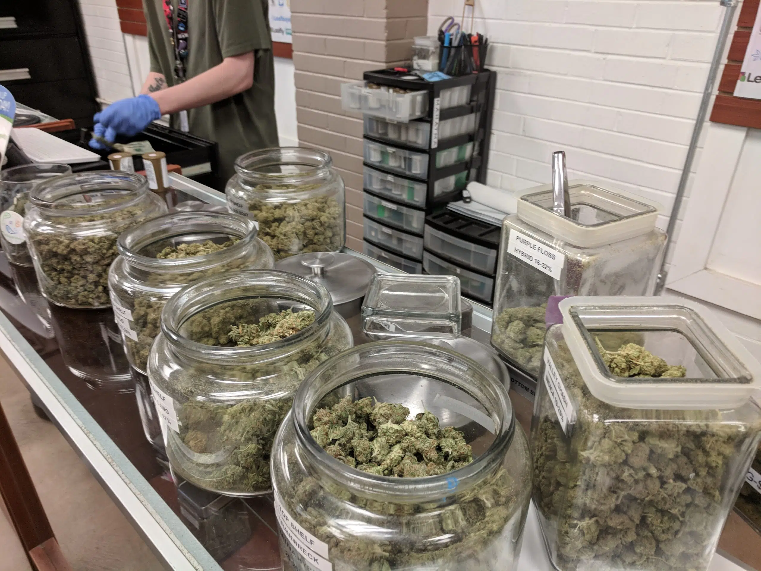 Multiple pot dispensary applications before Kamloops City Hall
