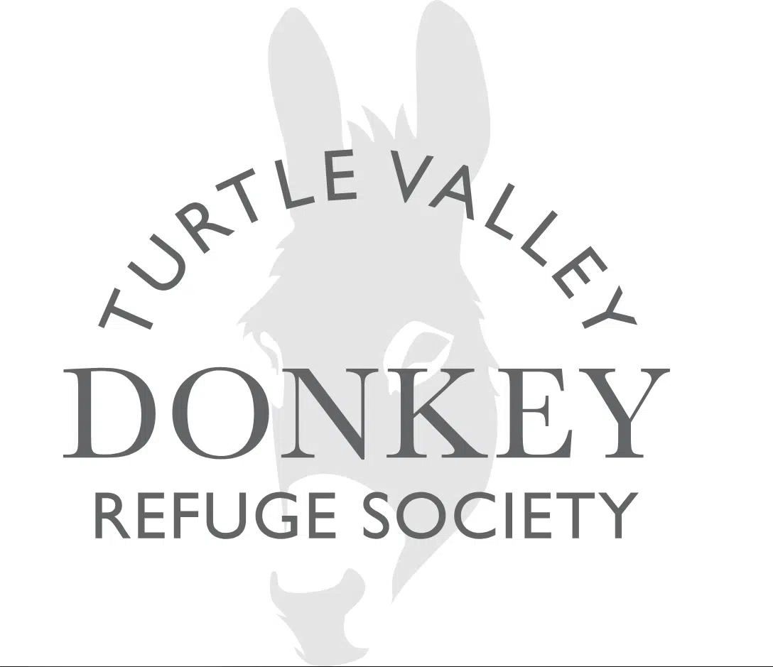 Turtle Valley Donkey Refuge Given Money to Help Expansion