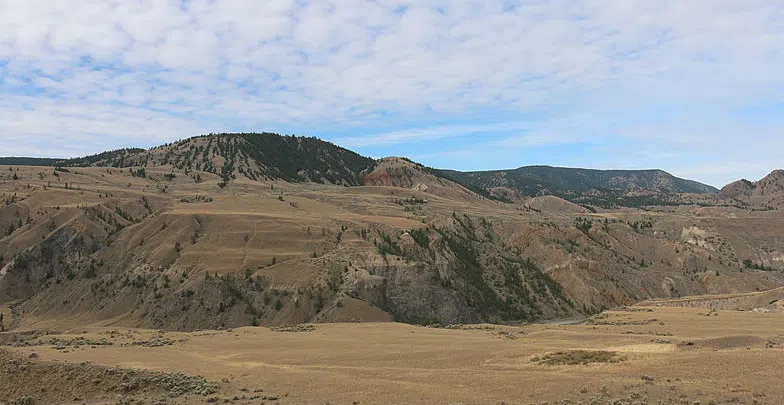 Hundred hectare ecosystem burn planned in the Dry Farm area of the Churn Creek Protected Area