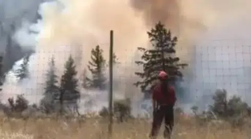 BC Wildfire Service predicting another busy wildfire season this year