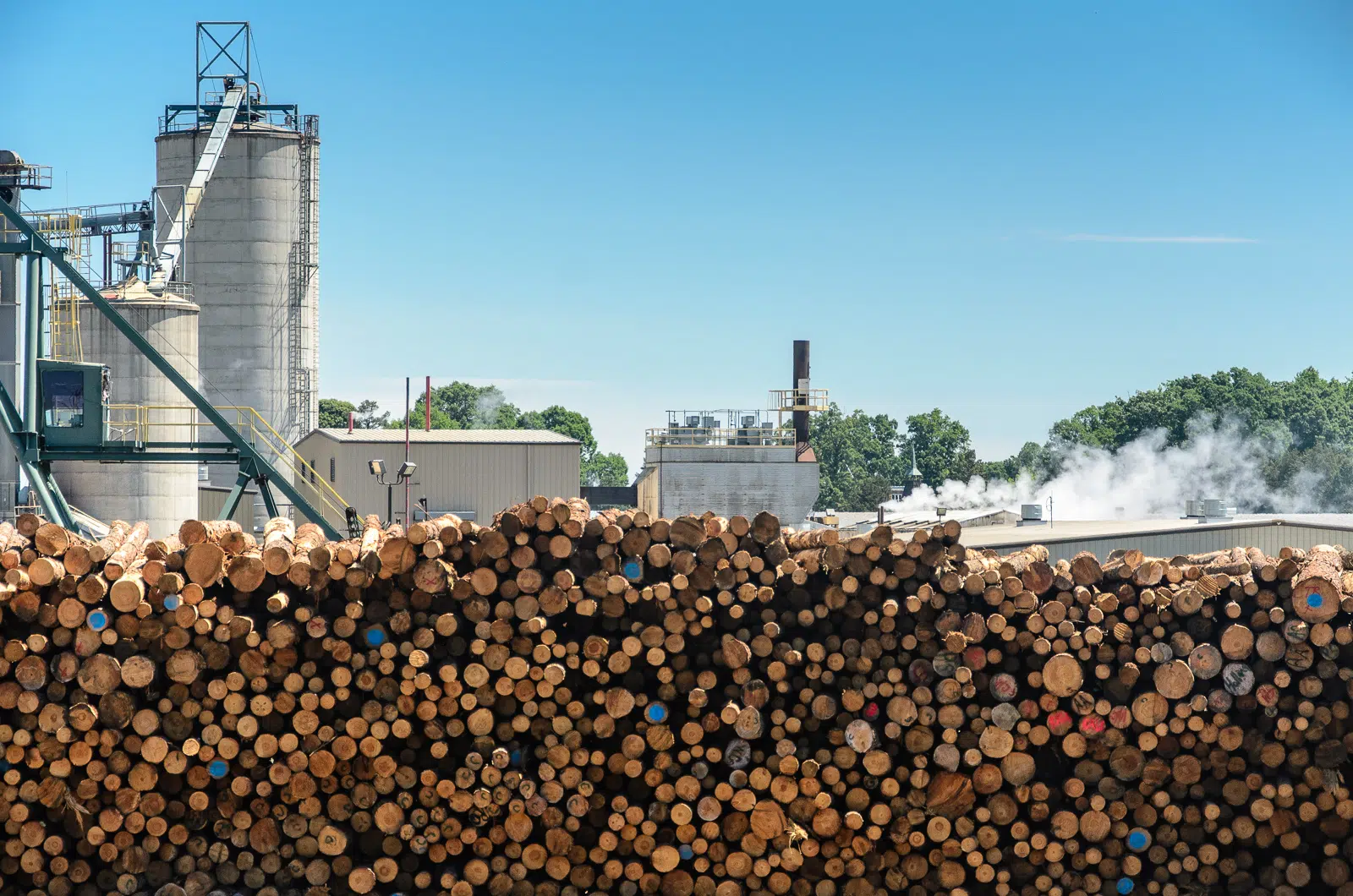 Mass timber company buys former Canfor Mill in Vavenby