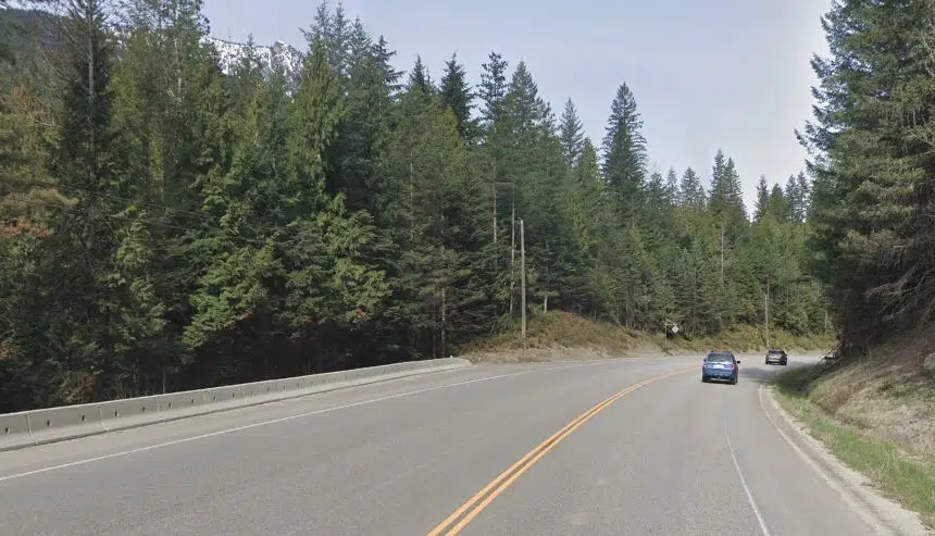 Drivers urged to watch for wildlife on B.C. highways