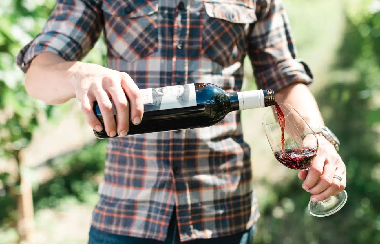 BC Wine Institute hoping wineries will soon be able to ship Canadian