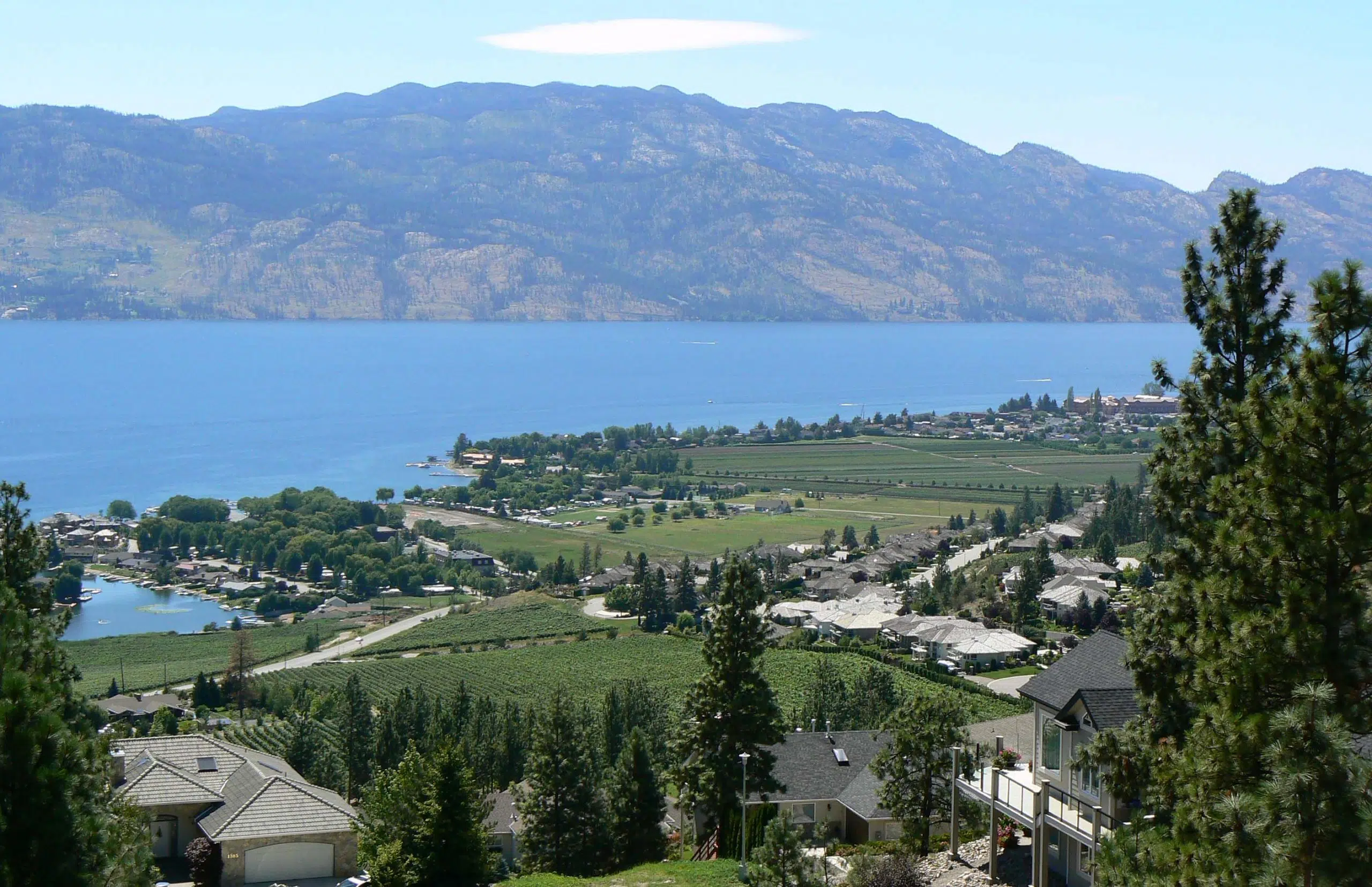 West Kelowna councillor continuing fight against province's speculation tax