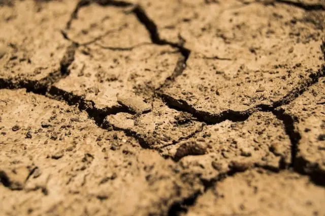 B.C. government holding series of drought preparedness workshops this spring