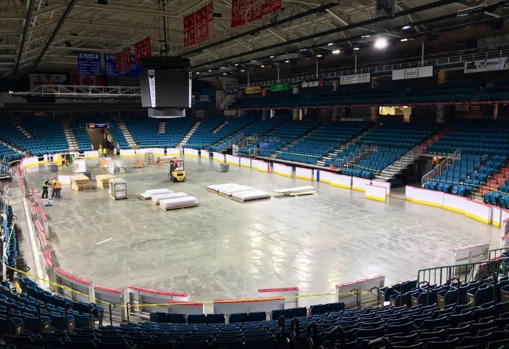 New glass, boards done at Sandman Centre; Blazers owner talks attendance