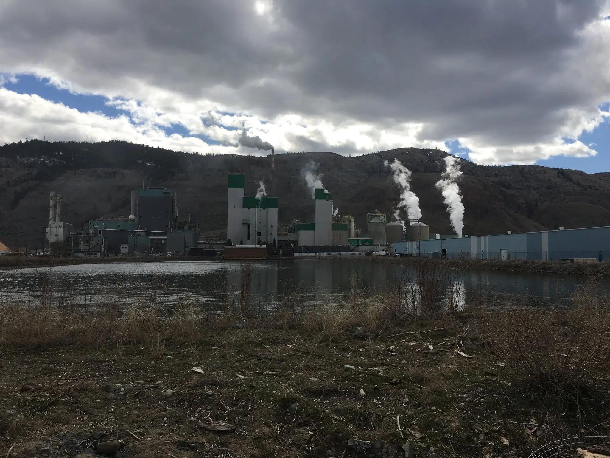 Domtar Looking to Bring new Fibre to Kamloops Pulp Mill